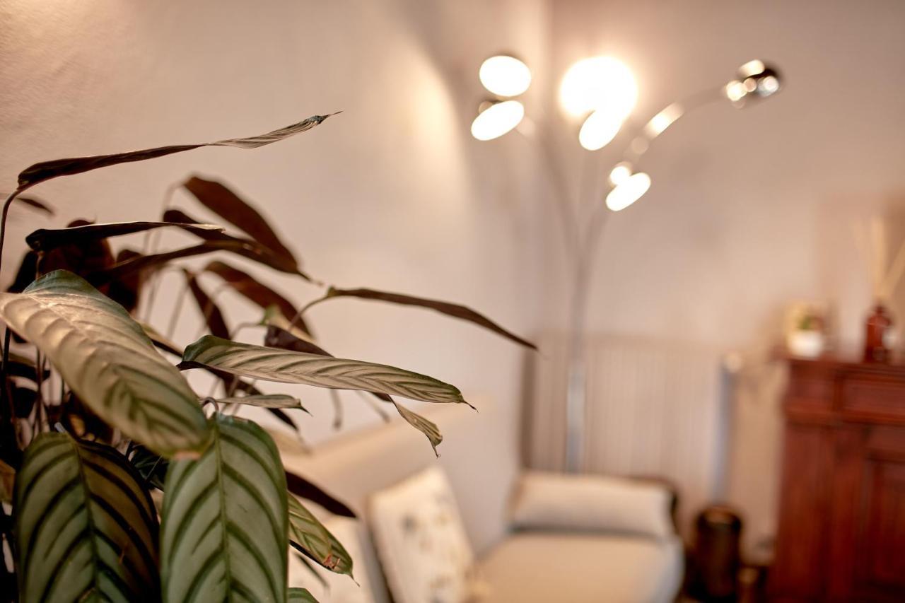 Villetta Con Giardino ⭑⭑⭑⭑⭑ - Wifi, Dogs Allowed บีเอลลา ภายนอก รูปภาพ