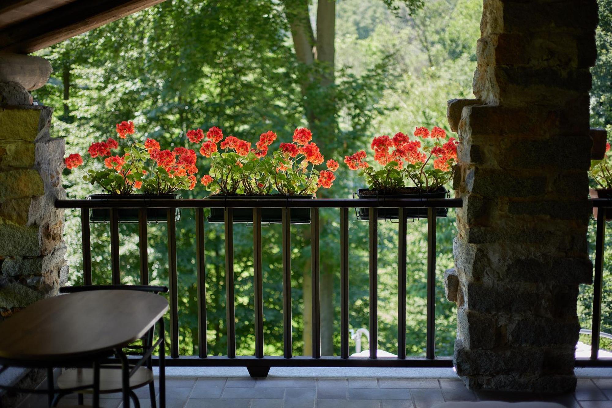 Villetta Con Giardino ⭑⭑⭑⭑⭑ - Wifi, Dogs Allowed บีเอลลา ภายนอก รูปภาพ
